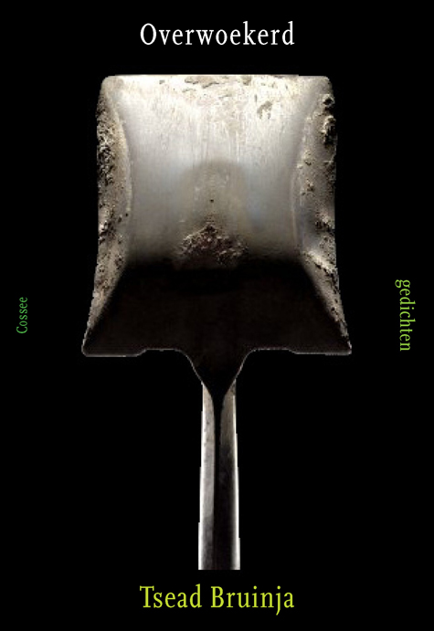 Bruinja_Overwoekerd_voorlopig