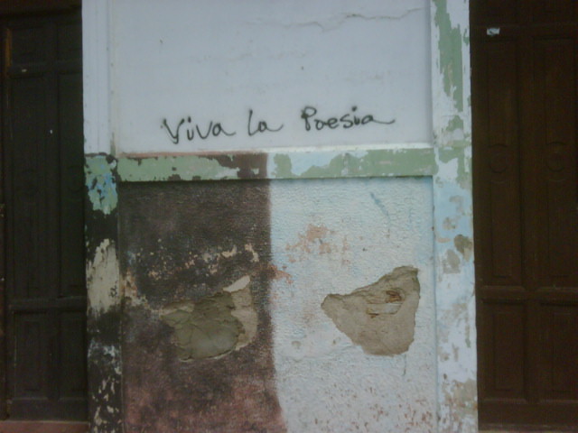 IMG00017-20100215-1055