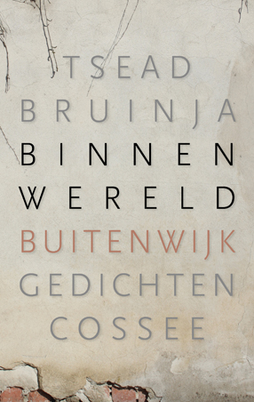 Binnenwereld_buitenwijk_tsead_bruinja