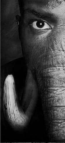 8e75d1d3632bab17e7e97a3ef5163c6f