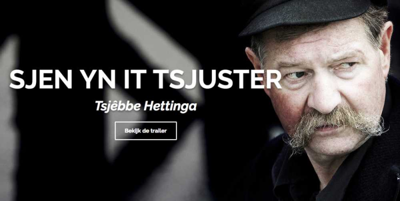 Sjen-yn-it-tsjuster (1)